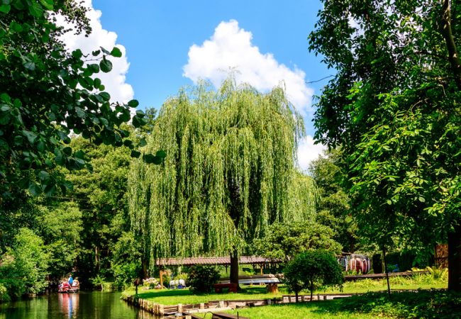 Ostern im Spreewald und Sorbenland